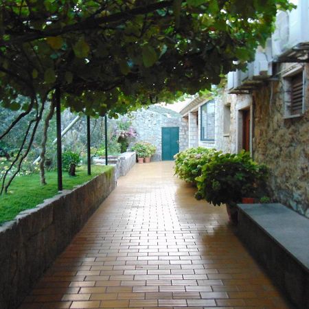 Villa Jelka Apartment Zaton  Εξωτερικό φωτογραφία