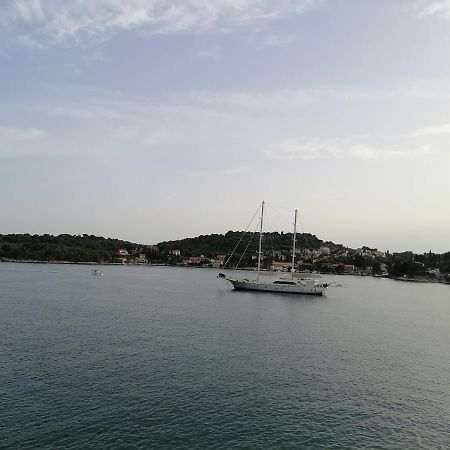 Villa Jelka Apartment Zaton  Εξωτερικό φωτογραφία