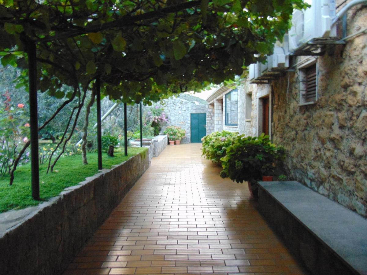 Villa Jelka Apartment Zaton  Εξωτερικό φωτογραφία