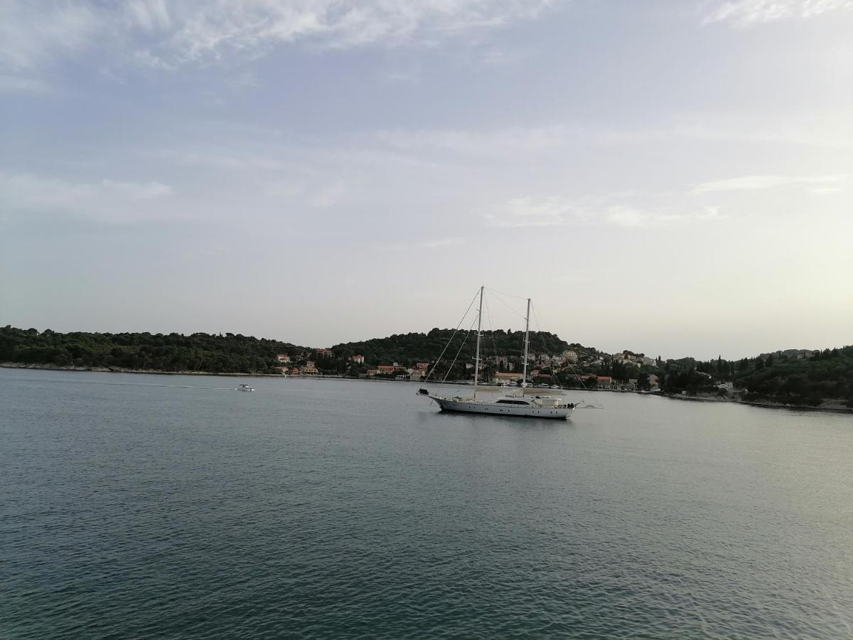 Villa Jelka Apartment Zaton  Εξωτερικό φωτογραφία